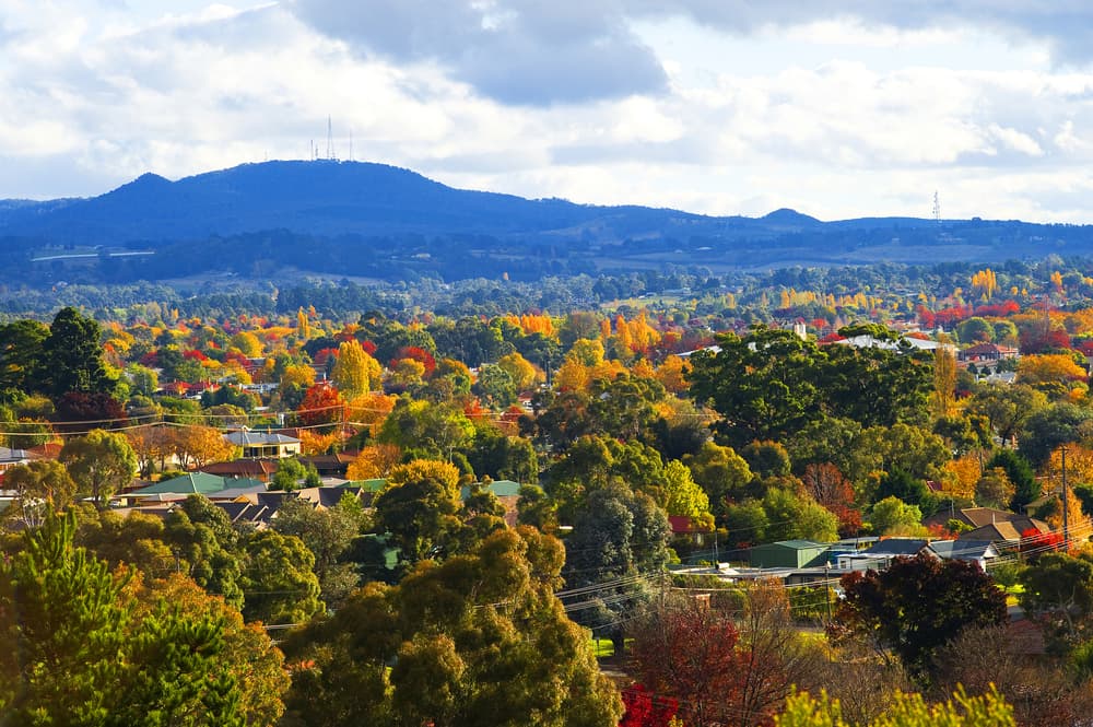 Mount Canobolas — Window Blinds in Orange, NSW