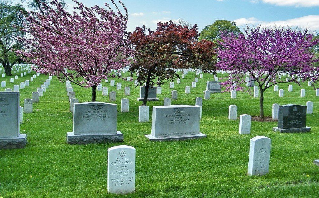 A cemetery with a lot of graves and trees