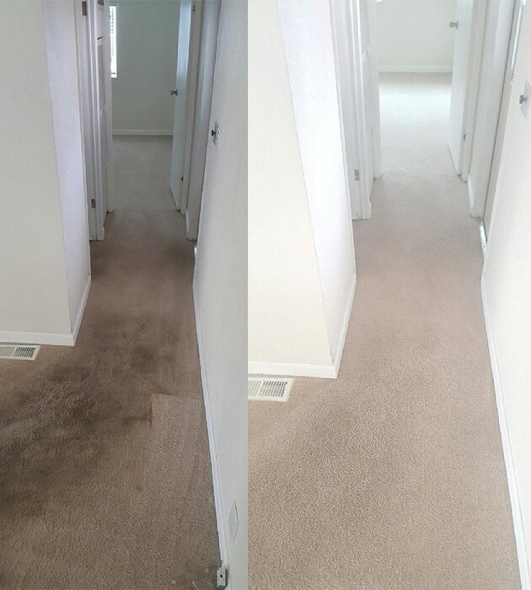 carpet cleaning service
