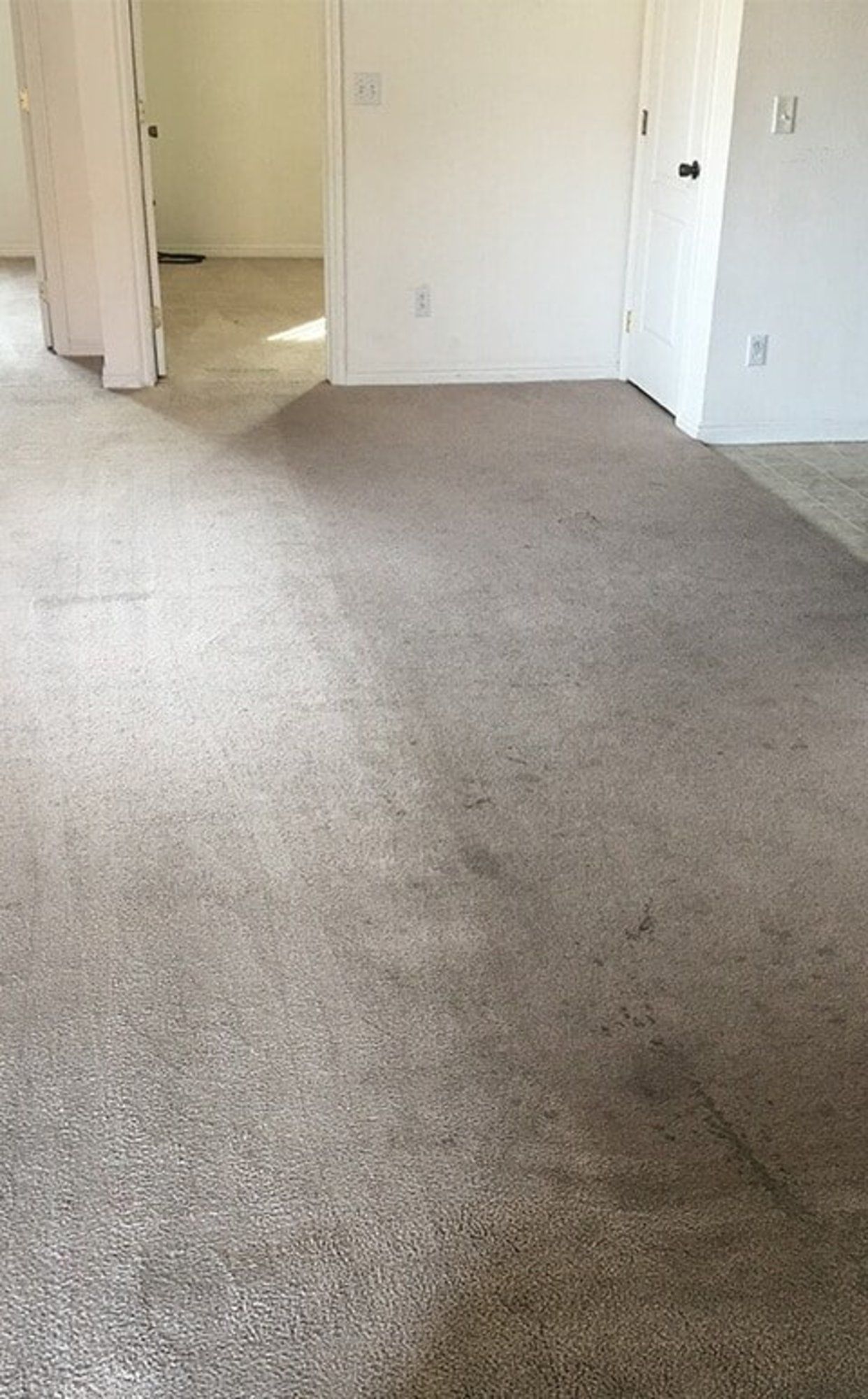 carpet cleaning service