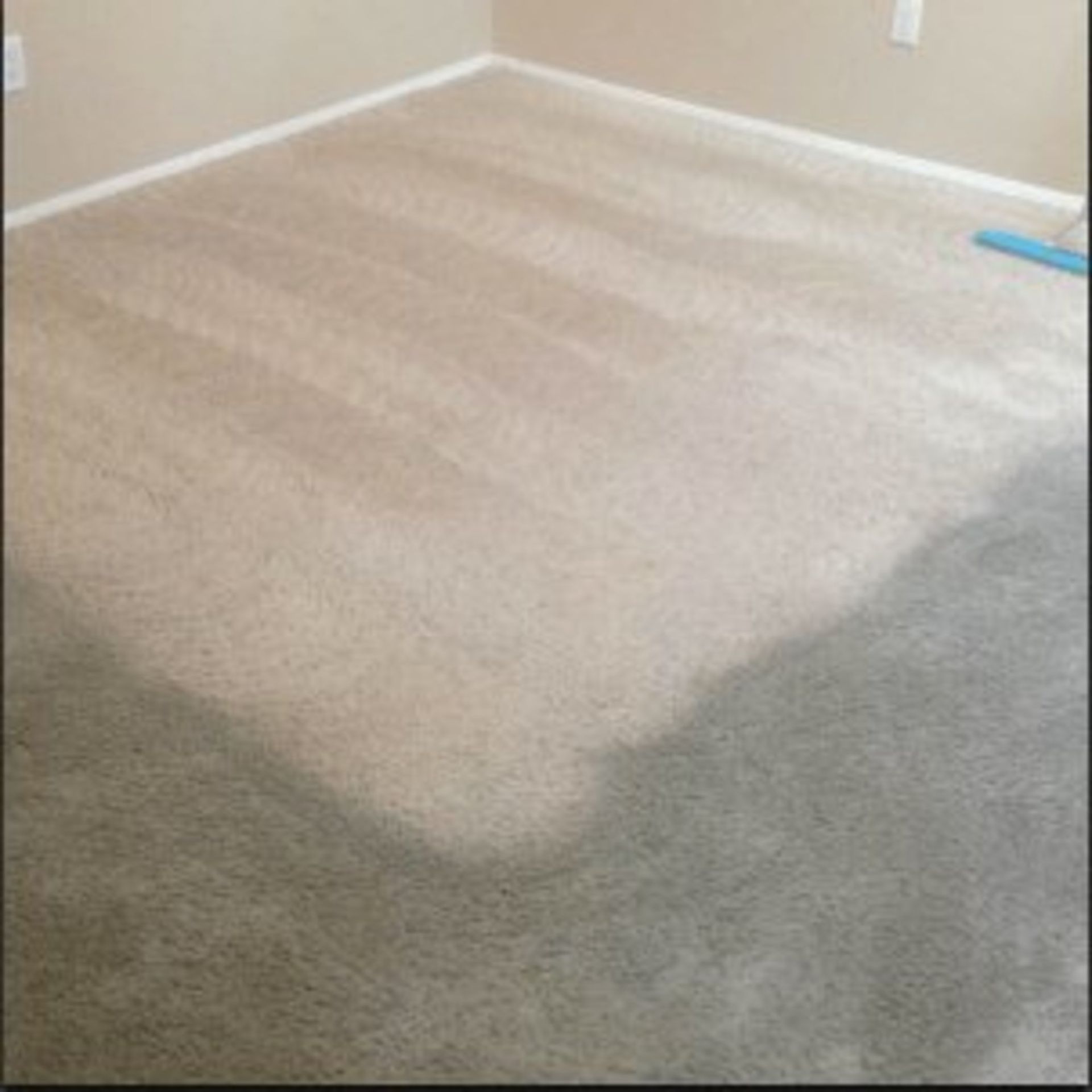 carpet cleaning service