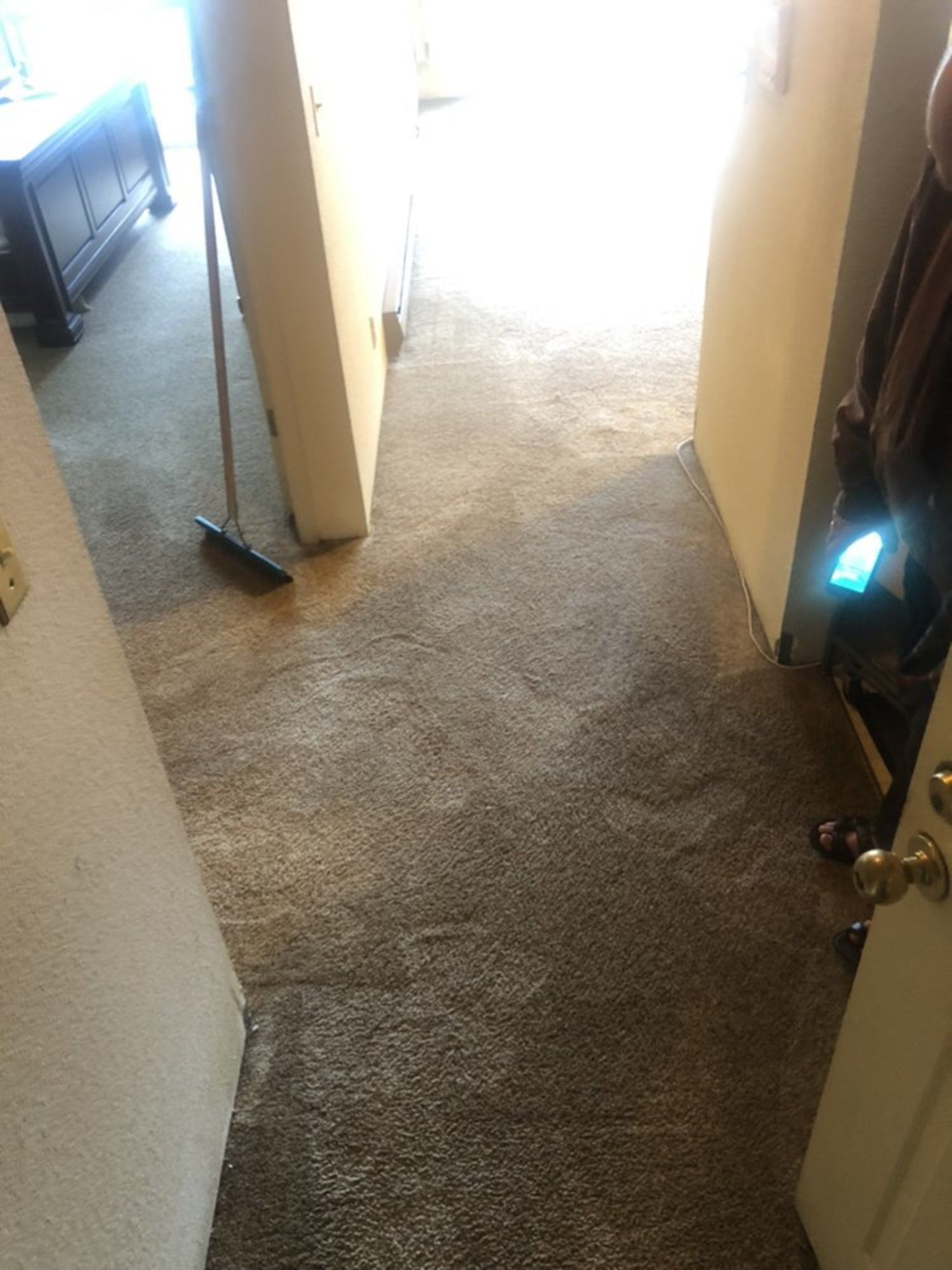 carpet cleaning service