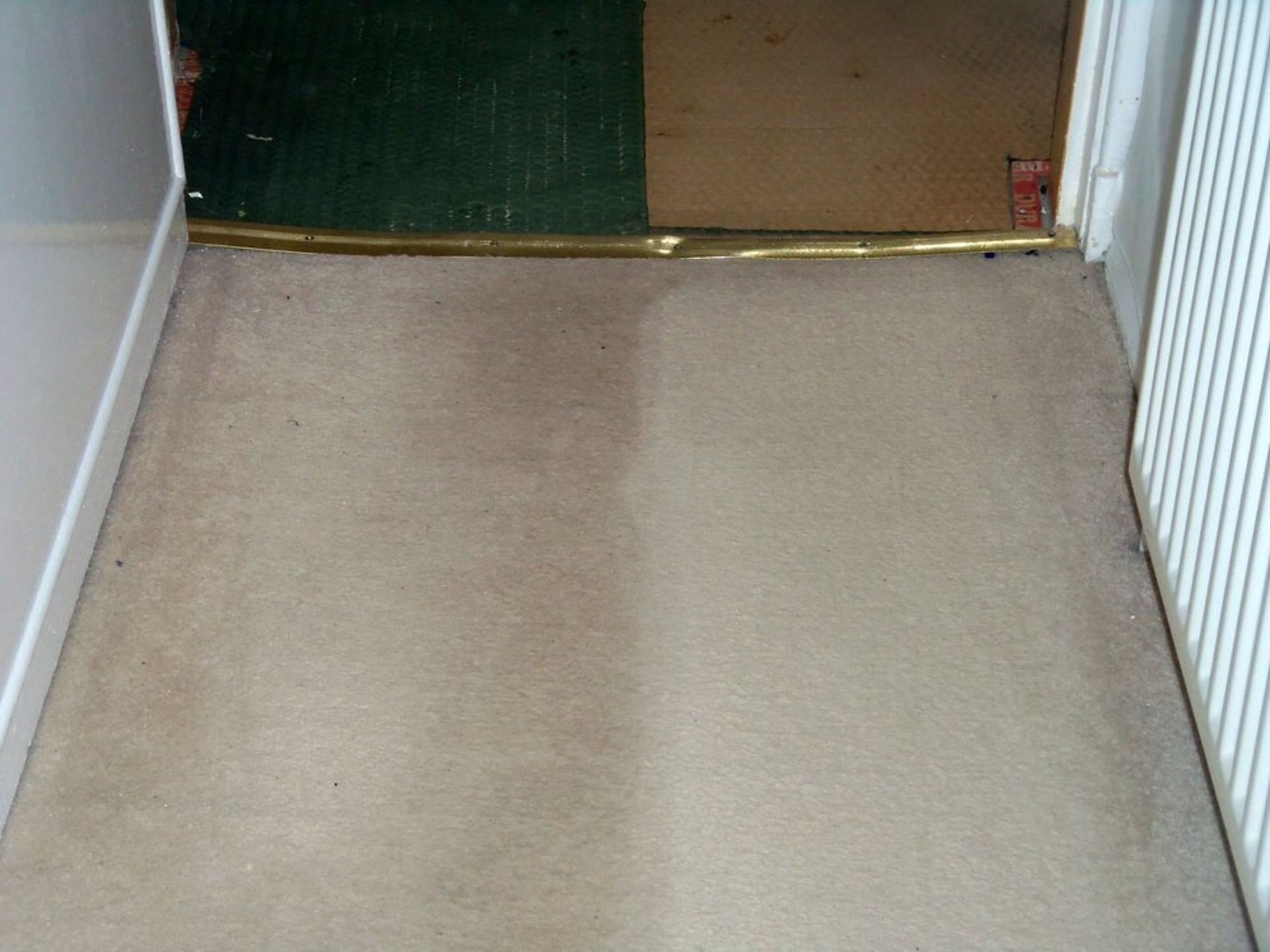 carpet cleaning service