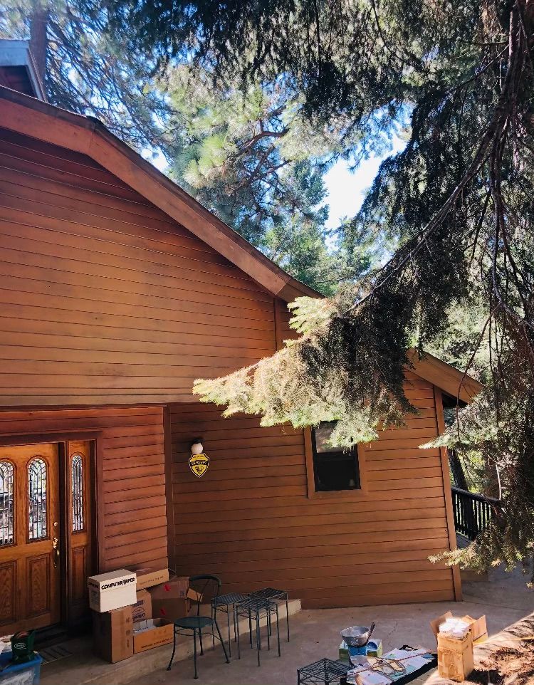 Wooden cabin porch with chairs, a table, and a mailbox under tall evergreen trees