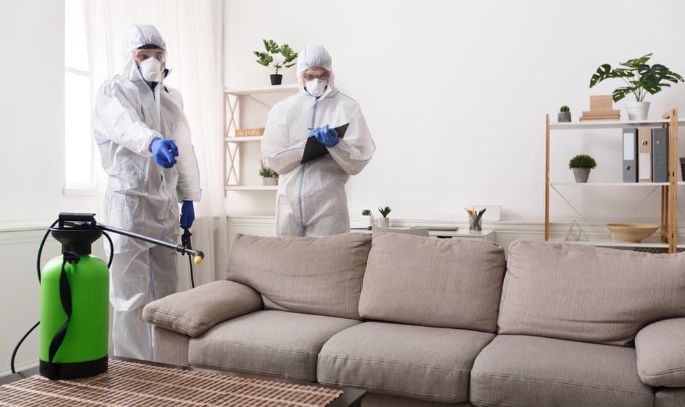 Two Men in Protective Suits Are Disinfecting a Living Room — Pest Control Central Coast in Woy Woy, NSW