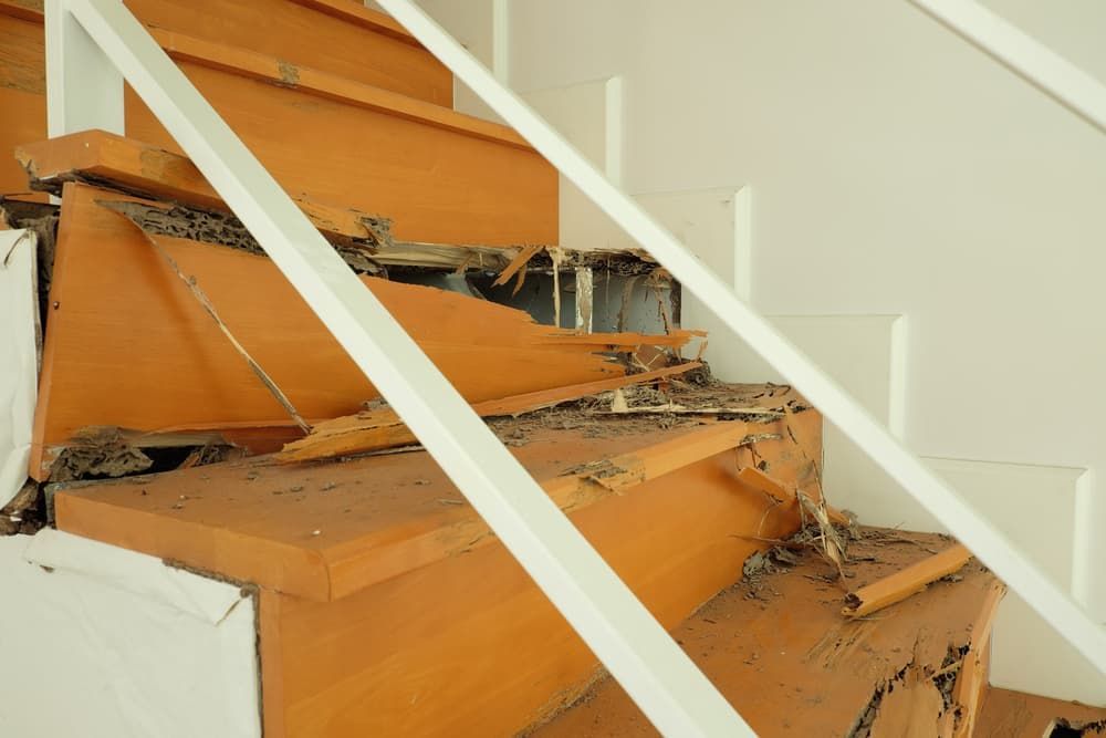 A Wooden Staircase with A White Railing Is Damaged by Termites — Pest Control Central Coast in Woy Woy, NSW