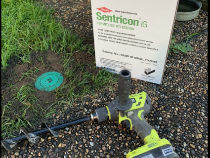 Broken wall caused by termite — Pest Control Central Coast in Wyoming, NSW