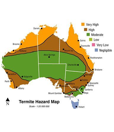 Termite hazard map — Termite in Control Central Coast, NSW