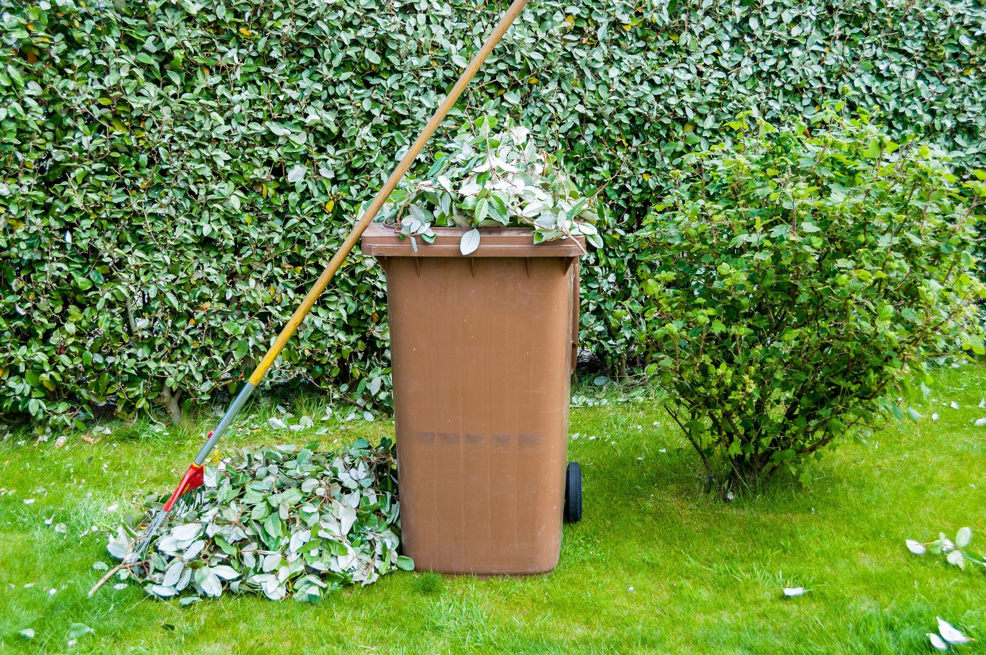 A brown trash can filled with leaves and a rake.