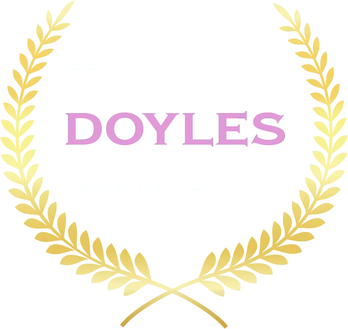 Doyles Criminal Law 2024