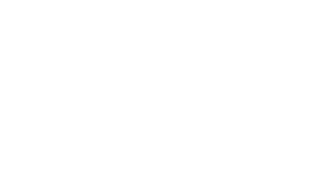 Society of St Vincent de Paul