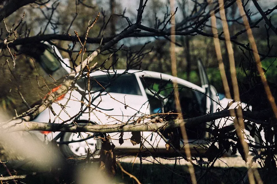 possible defences for stealing cars in Australia