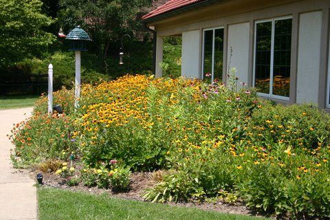 Office Flower Garden — Dentists in Mount Airy, NC