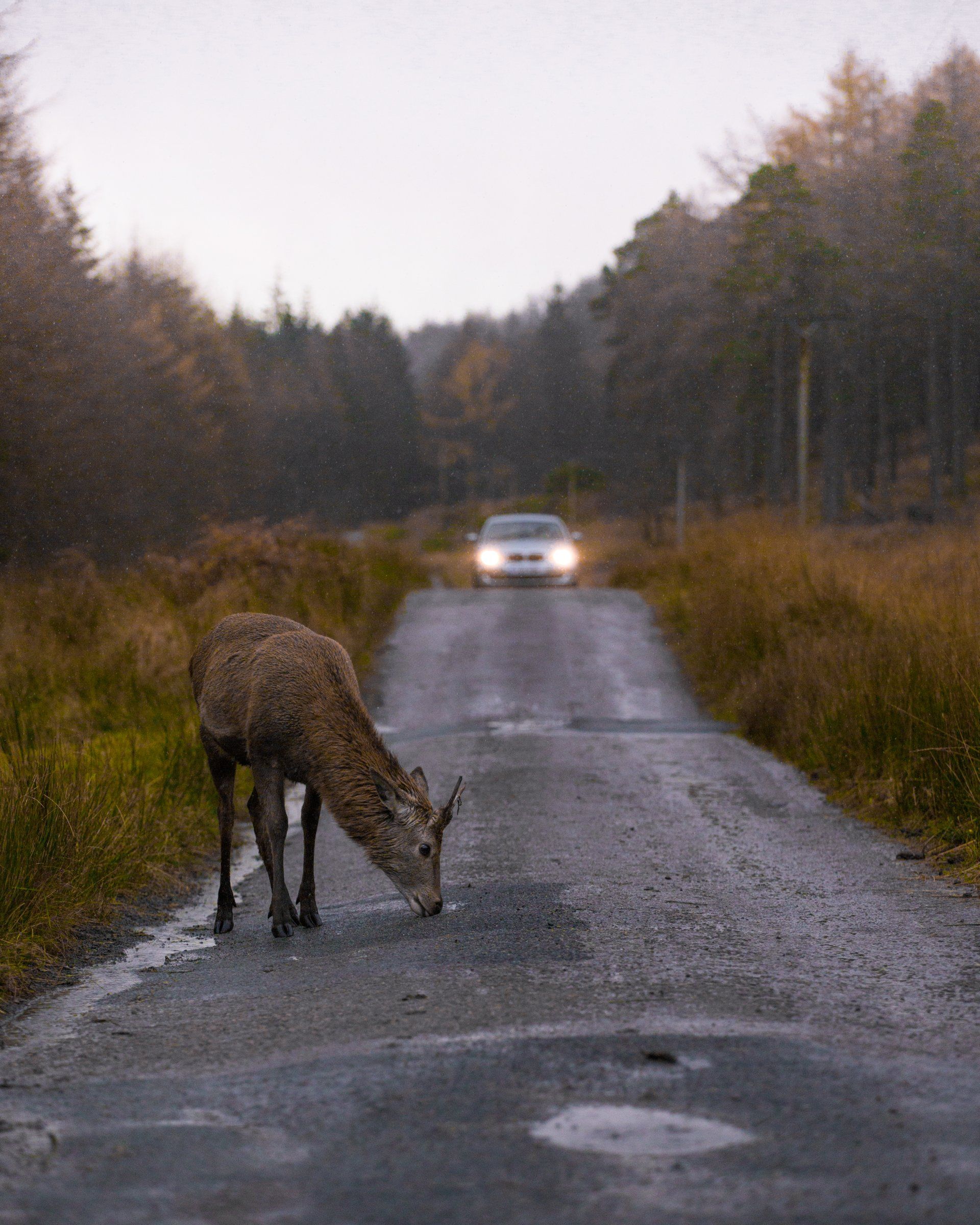 Insurance Agents — Insurance Policy in Mount Vernon, OH