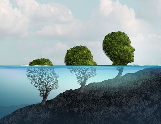 Private psychologische Beratung Ablauf