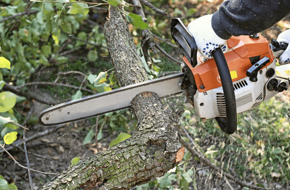 A person is cutting a tree branch with a chainsaw.