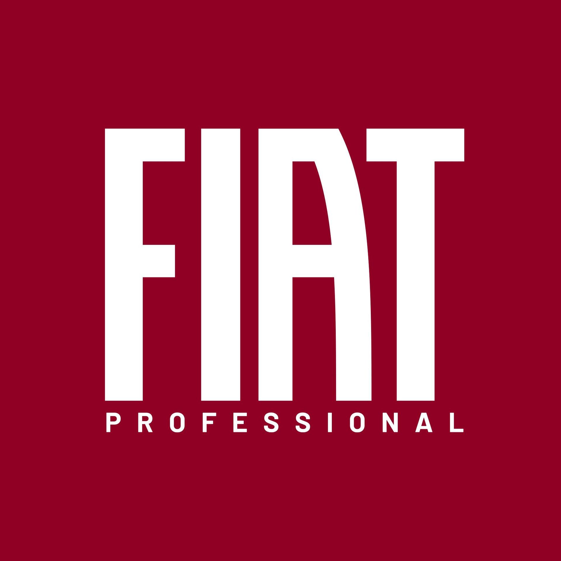 fiat professional
