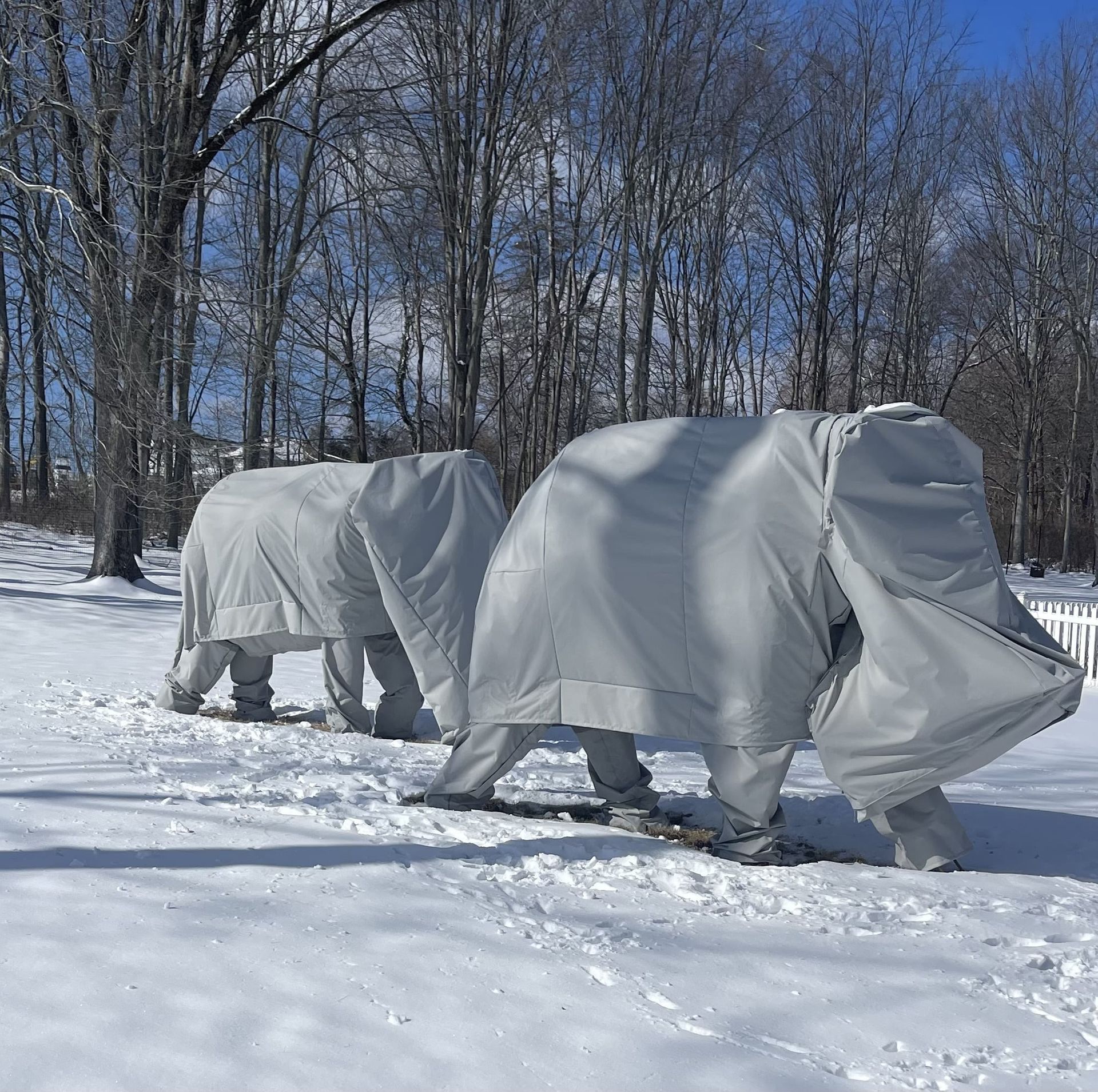 Two elephant statues covered in gray protective covers stand in a snowy yard under bare winter trees.