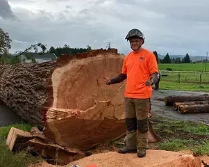Man in orange shirt, safety gear, stands next to a massive fallen tree, gesturing outdoors.