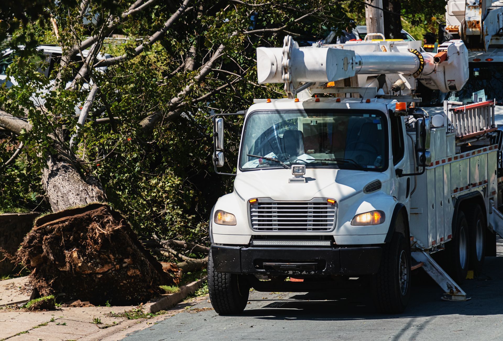 Utility truck next to a fallen tree, likely after a storm.