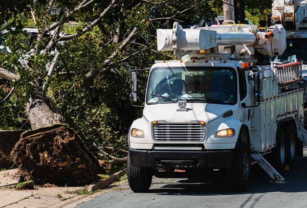 Utility truck next to a fallen tree, likely after a storm.