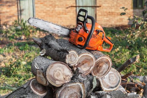 Orange chainsaw resting on a pile of freshly cut wood.