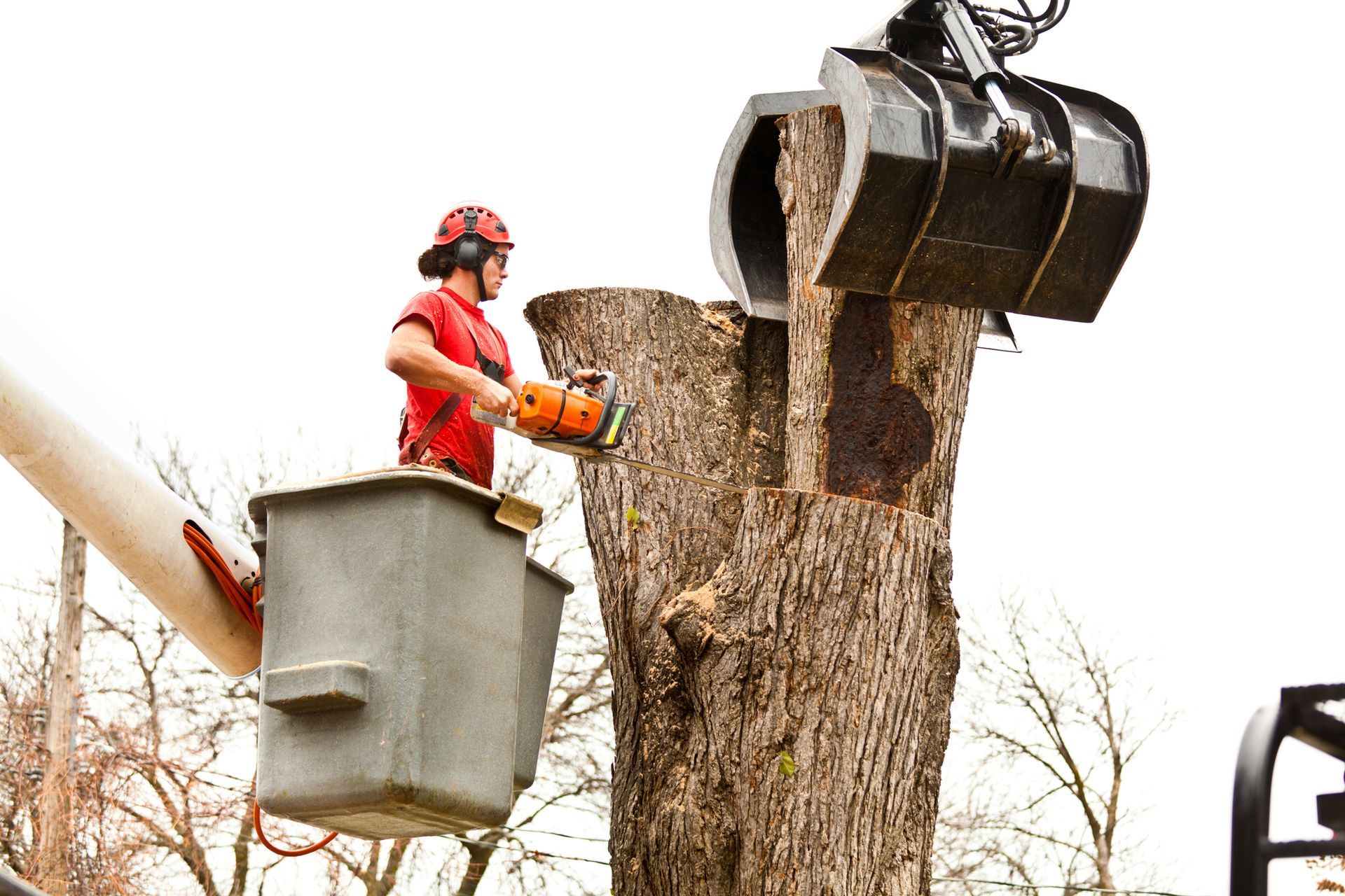 Tree branches being cut by a machine with a chainsaw, debris scattered on the street.