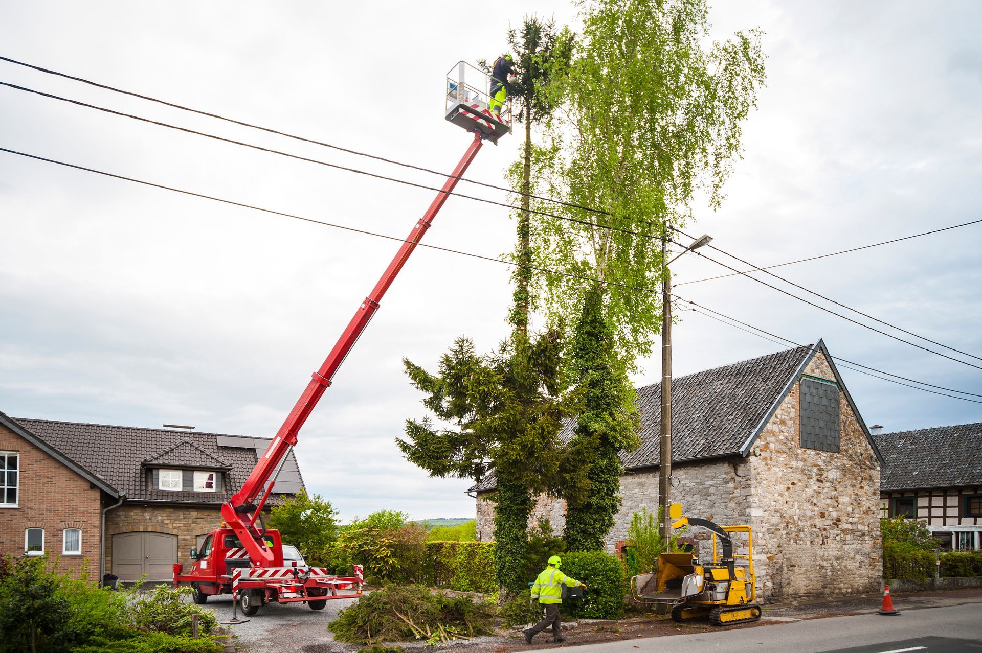 Two workers trimming a tall tree near power lines, using a red lift, outside near a building.