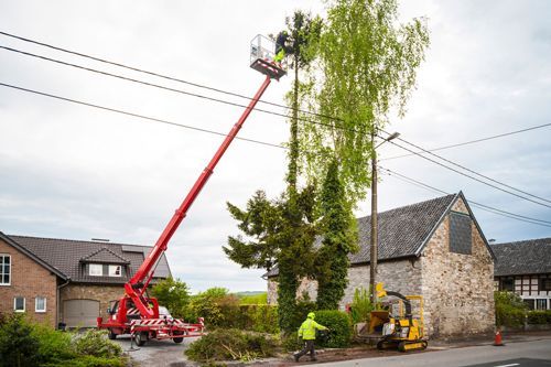 Two workers trimming a tall tree near power lines, using a red lift, outside near a building.