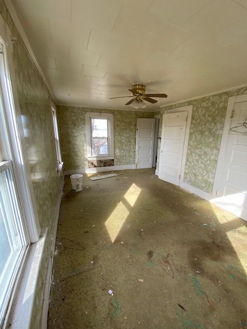 A room with peeling wallpaper and stained green carpet. Sunlight streams in through windows.