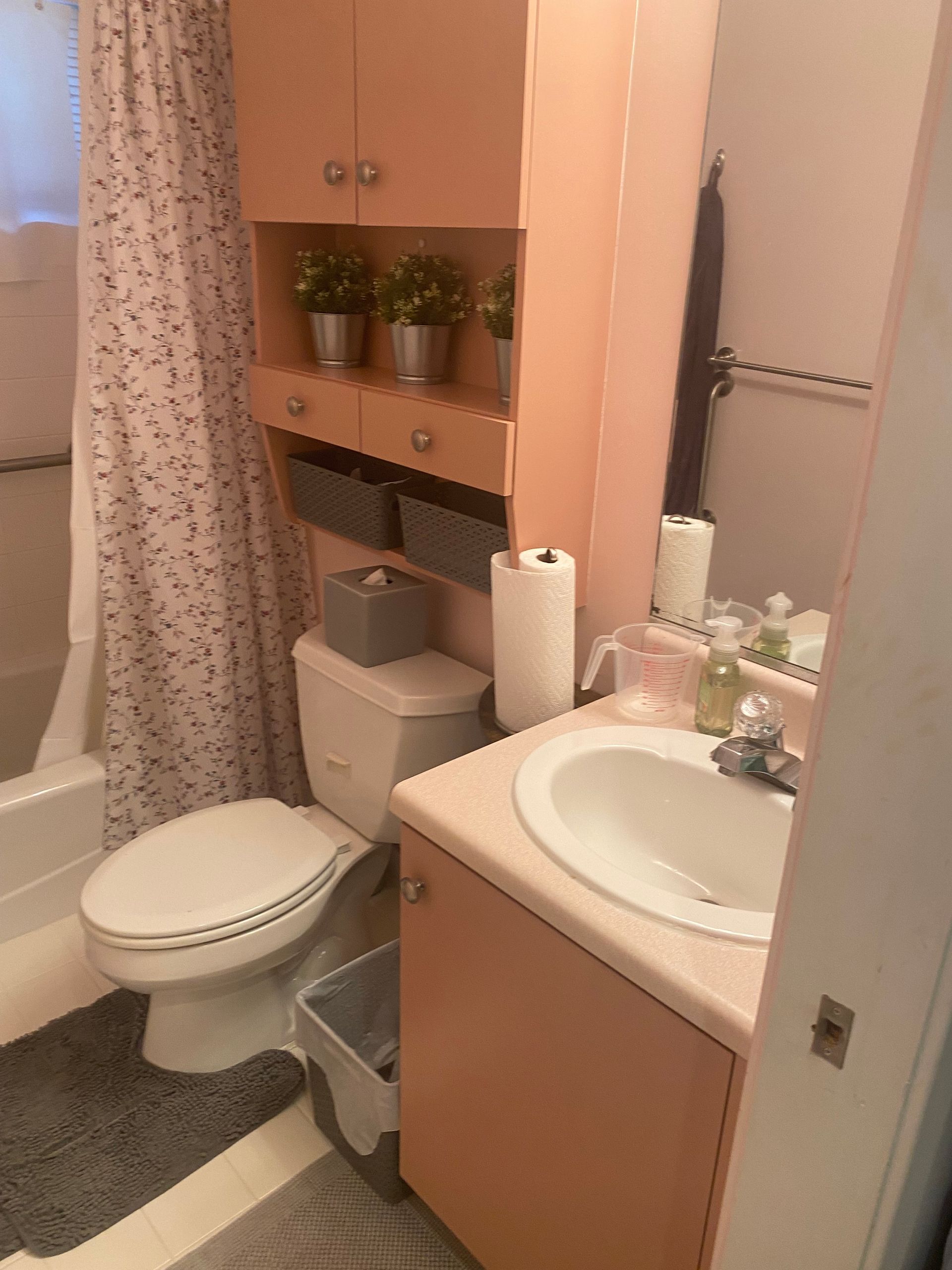 Pink bathroom with toilet, sink, and cabinet; gray accents, plants.