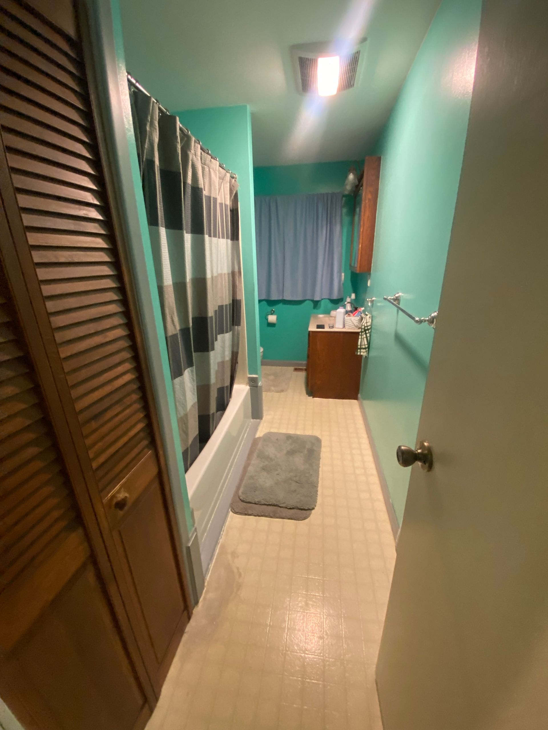 Narrow bathroom with turquoise walls, wooden door, shower curtain, vanity, and rug.