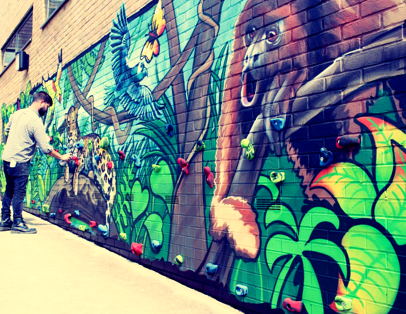 graffiti art and climbing murals with traverse walls