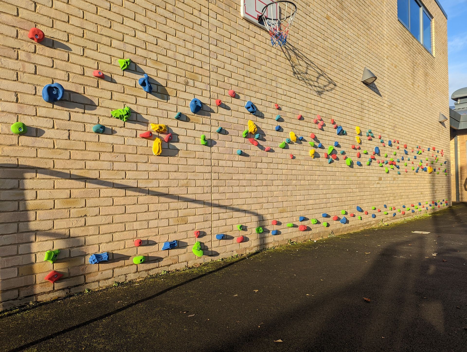 Brick wall with colorful climbing holds and a basketball hoop. Sunny outdoor setting.