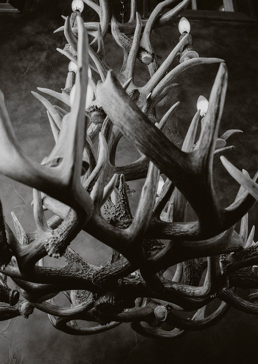 black and white antler chandelier