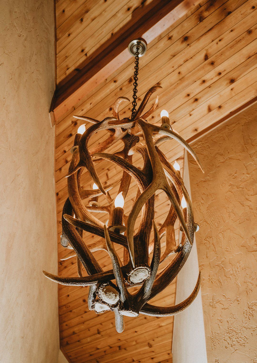 Small antler chandelier