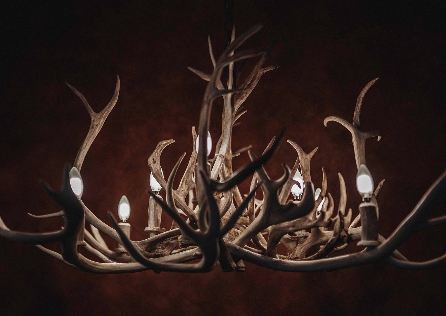 Moody antler chandelier