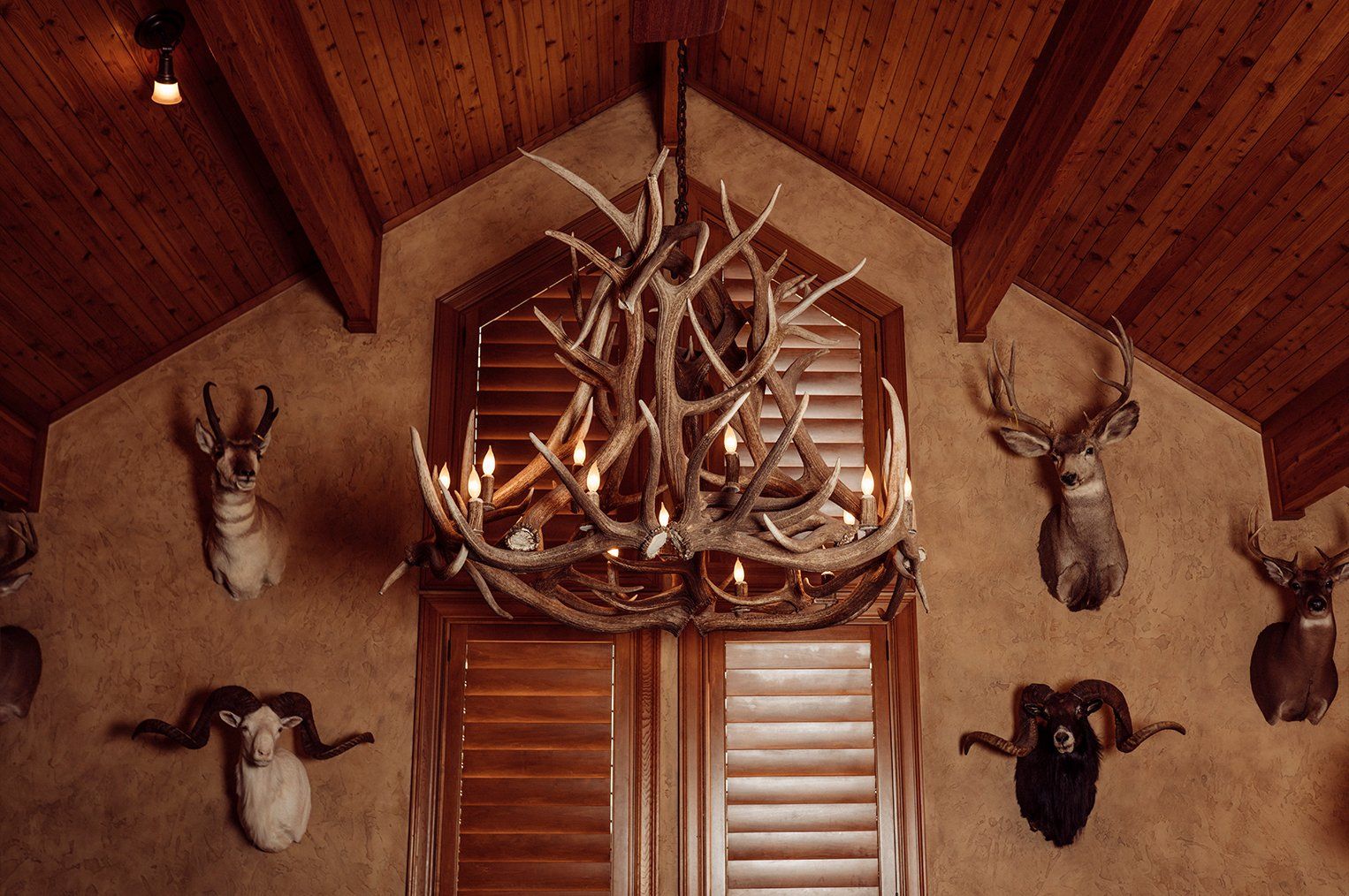 Antler chandelier in a rustic home