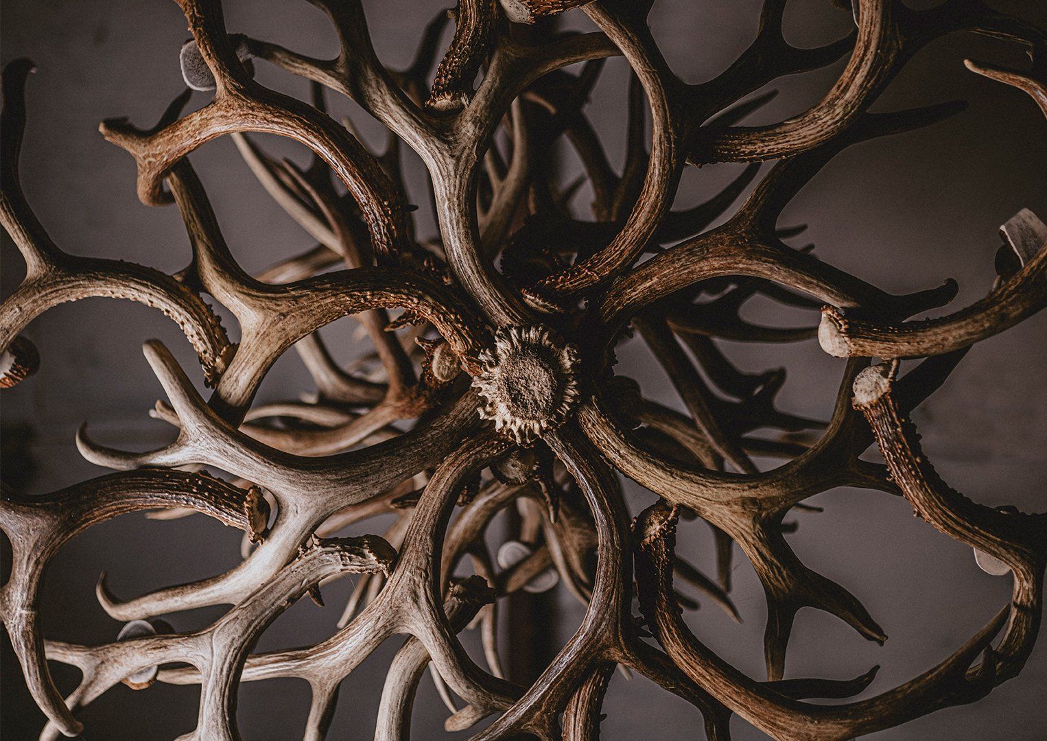 Antler Chandelier shot from the bottom