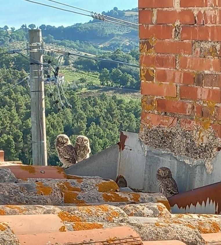 Soggiorno con mobili decorati, arazzi e dettagli in legno scuro.