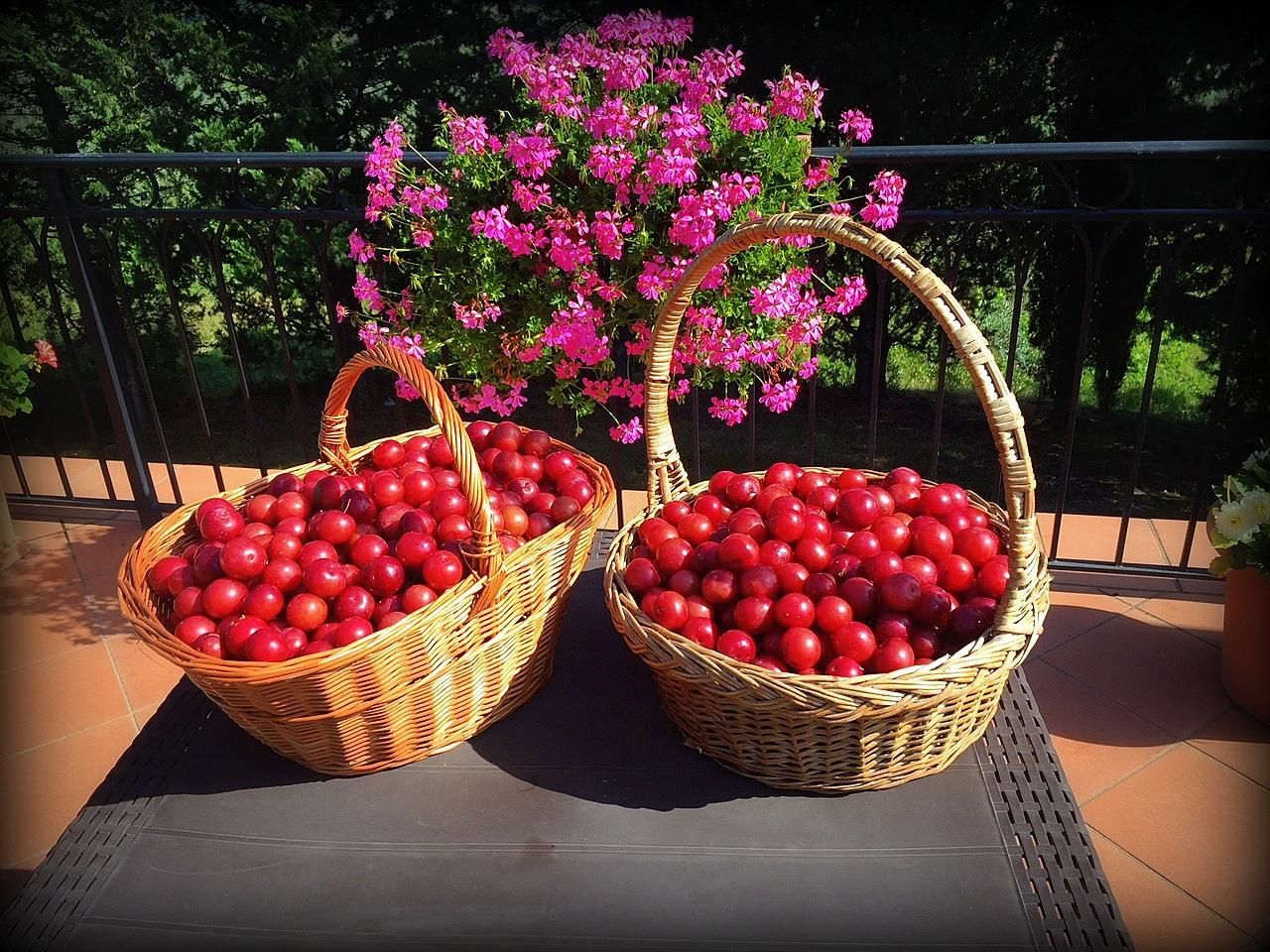 Piscina con sedie a sdraio, alberi e ombrelloni nelle giornate di sole.