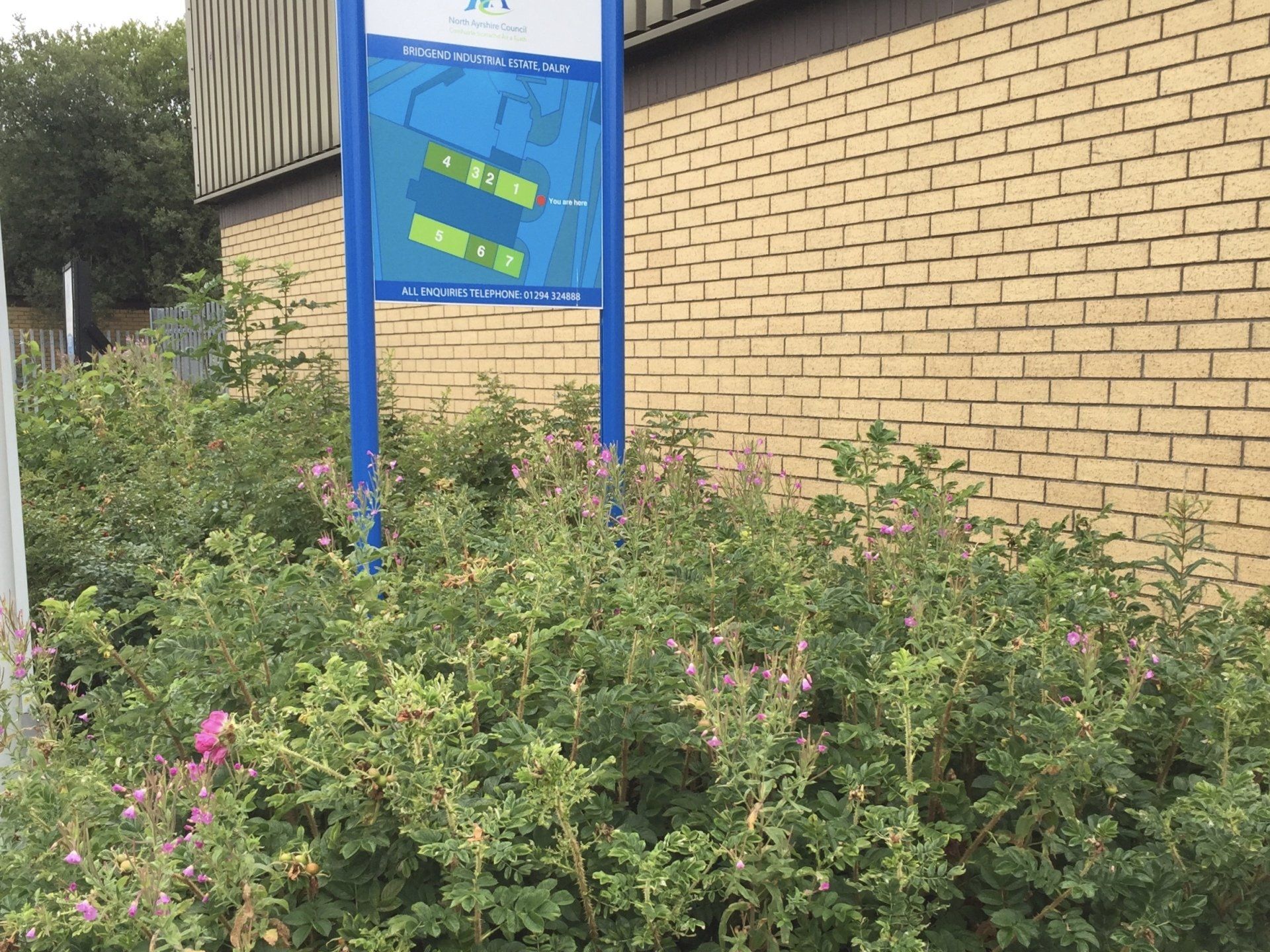 Overgrown industrial estate before landscaping