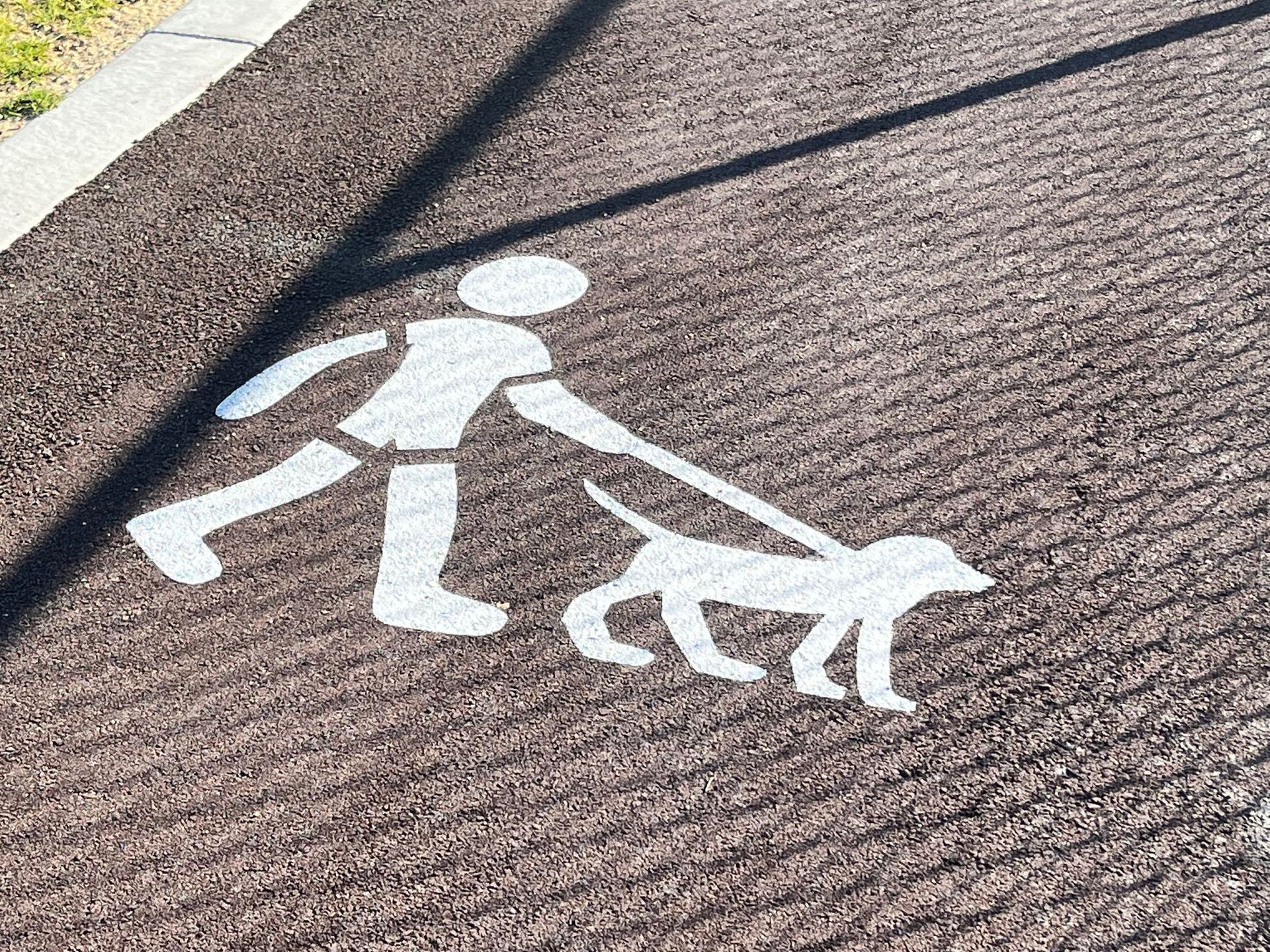 line marking on indoor basketball court