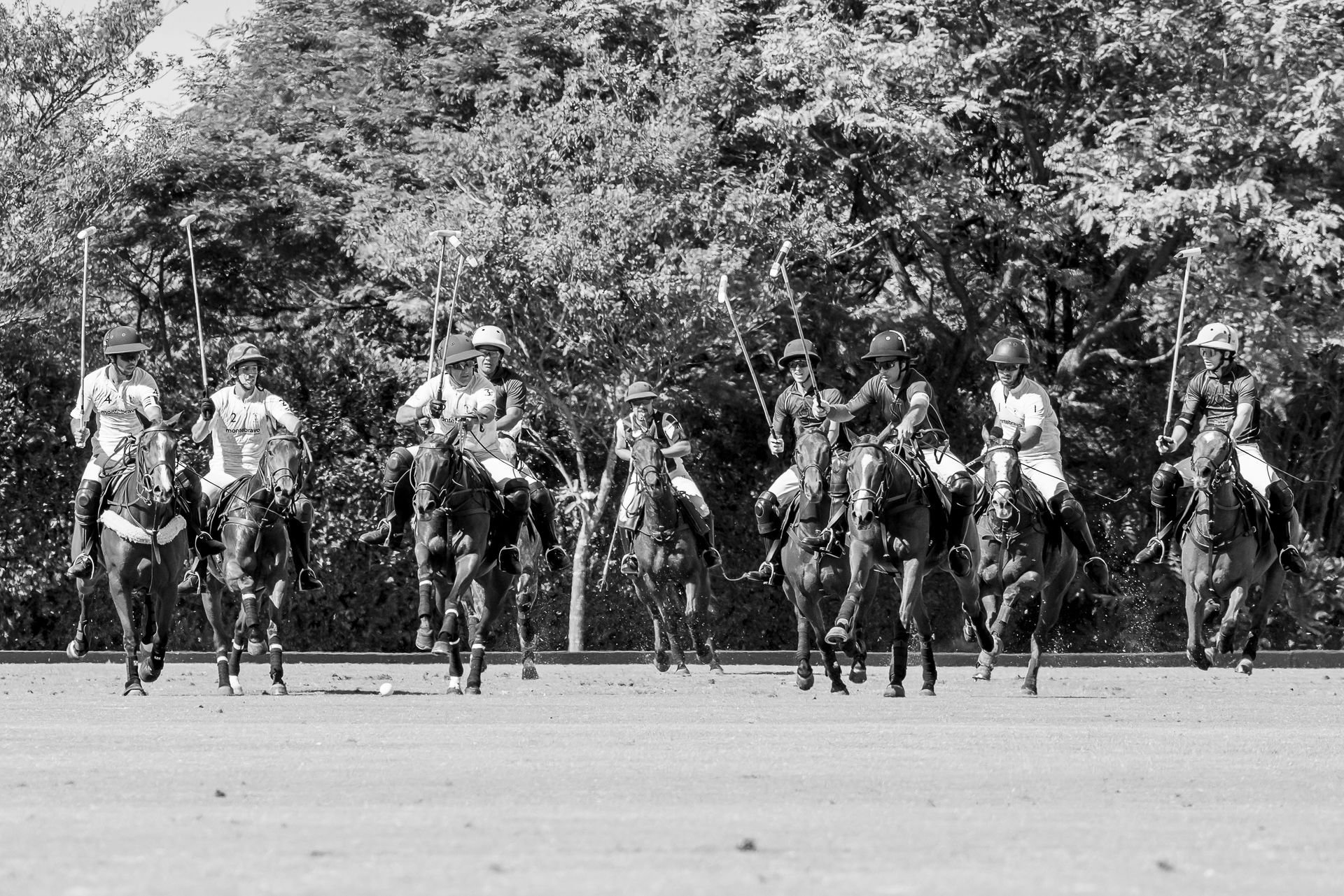 Polo players on horseback on a grassy field, swinging mallets. Trees and blue sky in background.