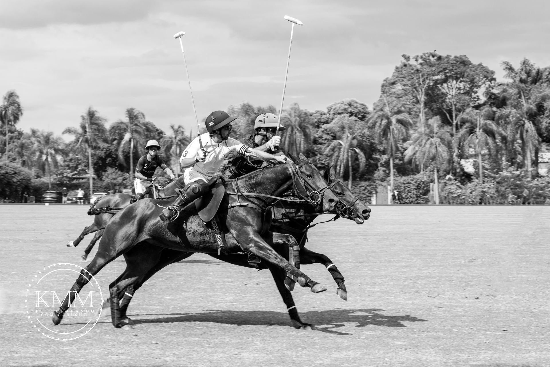 Polo players on horseback racing across a grassy field. Horses in mid-stride, mallets raised.