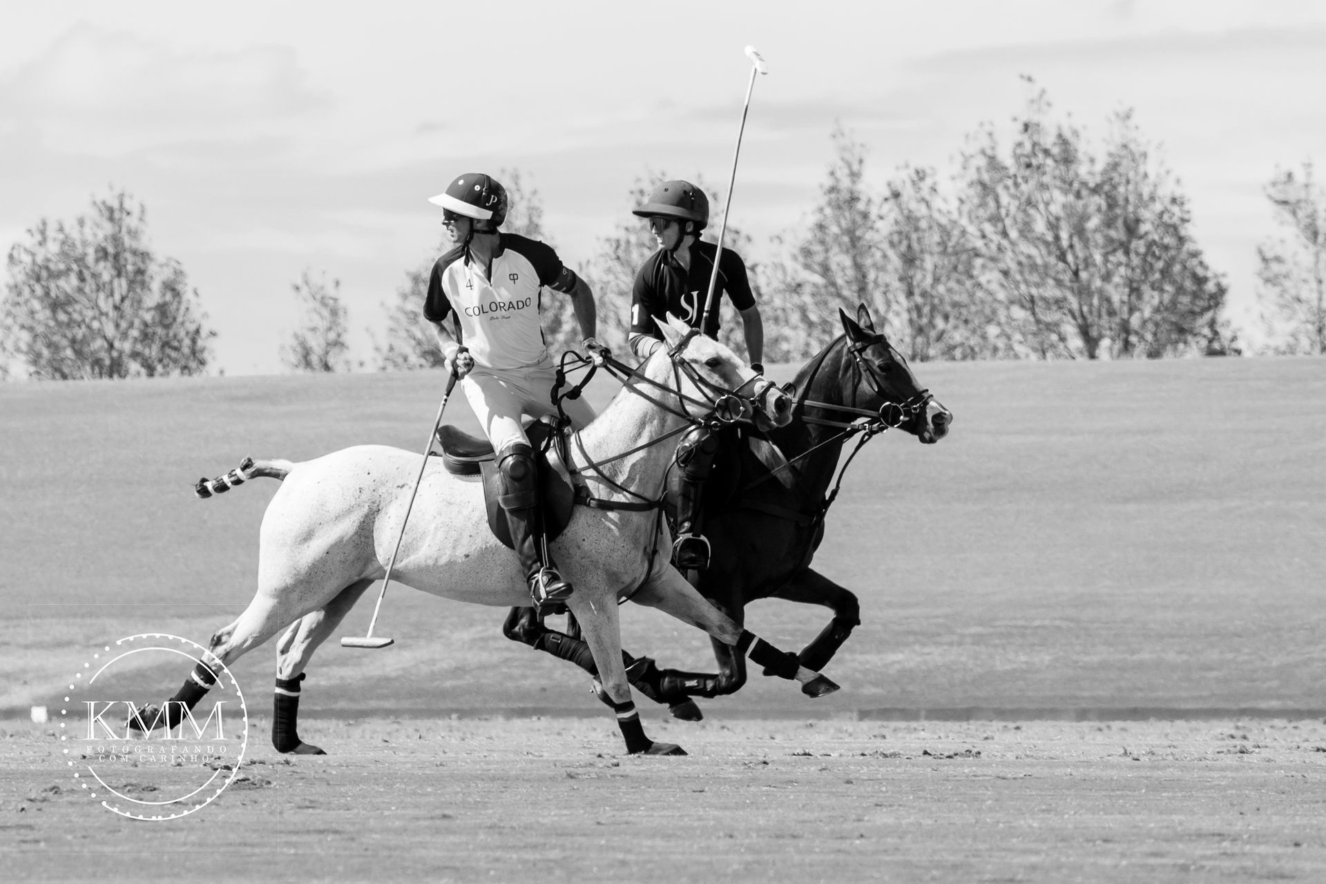 Two polo players on horseback, racing on a grassy field. One is on a gray horse, the other on a brown horse.