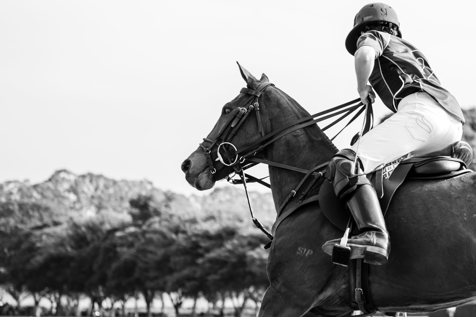 Rider in helmet on dark horse, outdoors, near trees and mountains.