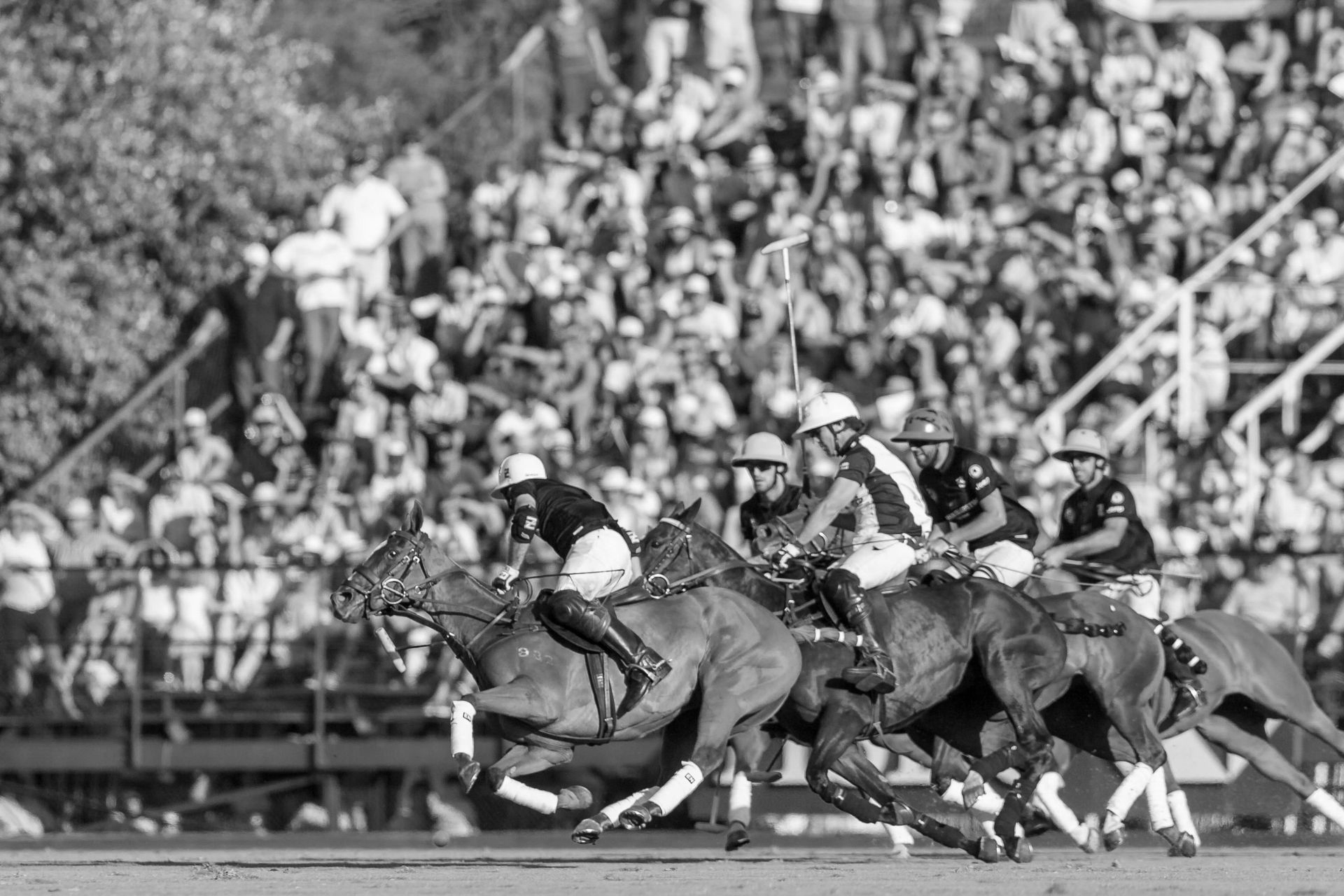 Polo match in progress with players on horseback, a crowd in the background, and stadium seating.