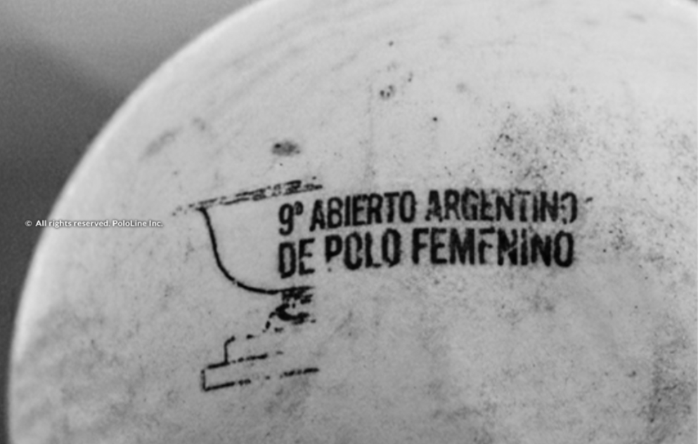 Close-up view of a polo ball with 