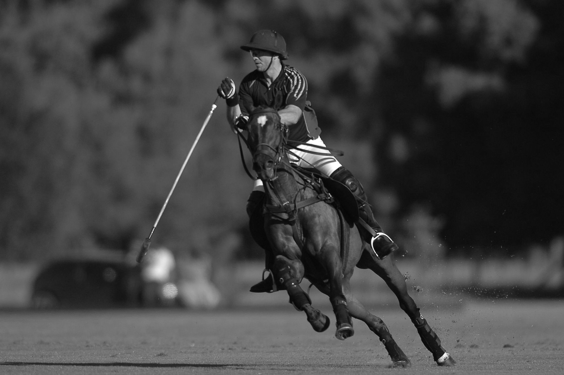 Polo player on horseback, swinging mallet, action shot on field.